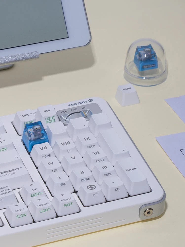 📦訂購 韓國代購 ZO&FRIENDS ZOA RESIN KEYCAPS 灰貓樹脂鍵帽