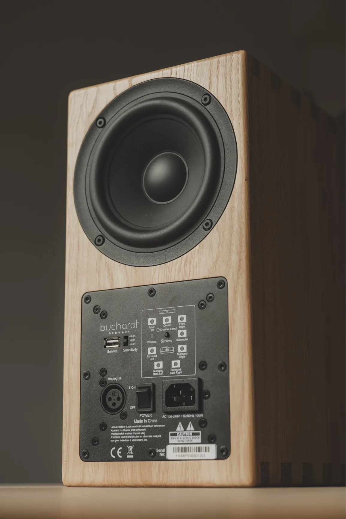 Buchardt A200 DSP 有源喇叭