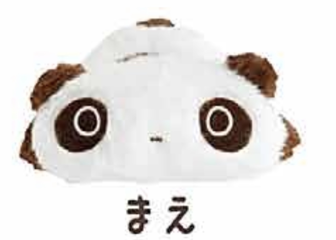 趴地熊 長毛公仔 