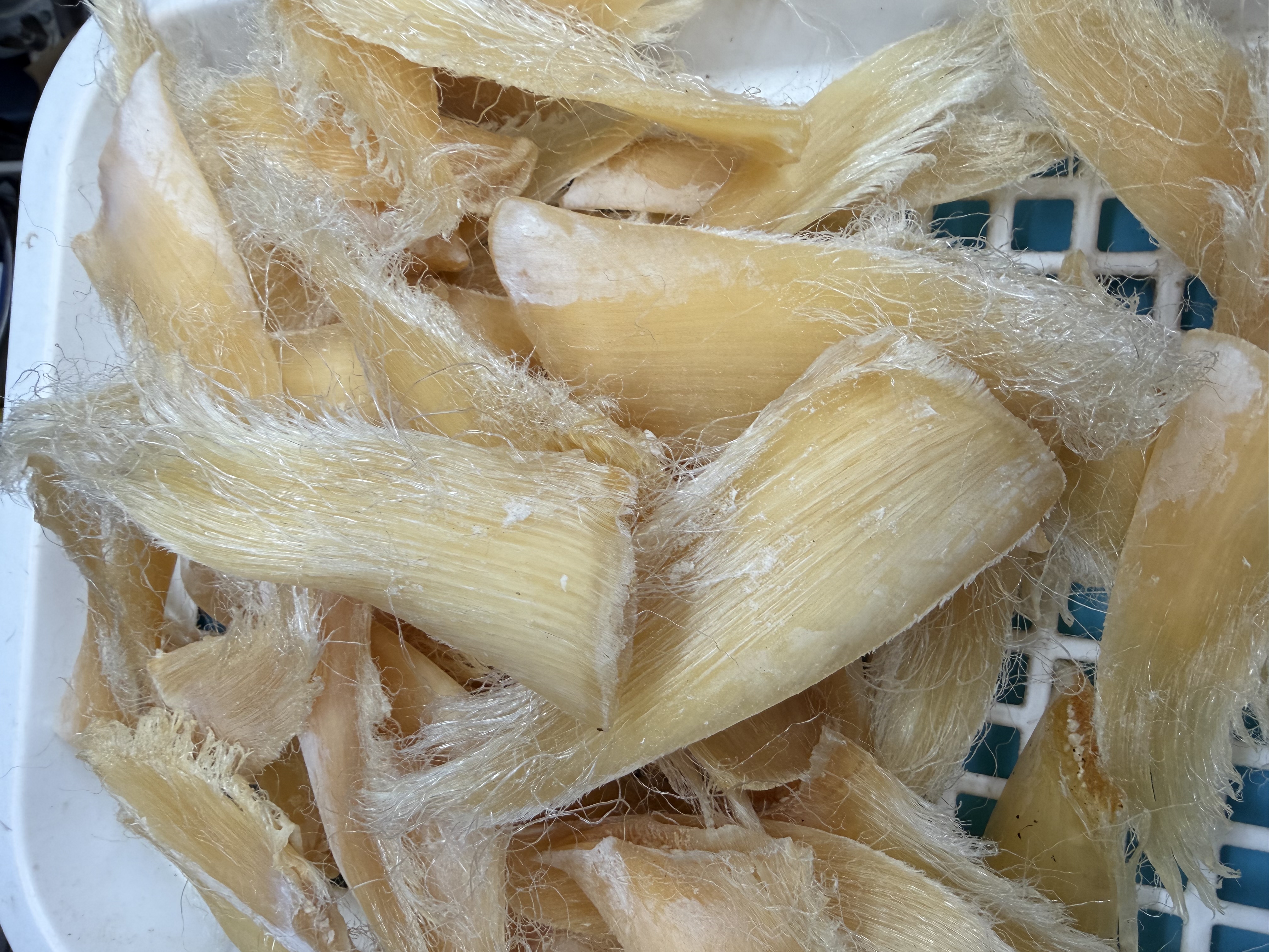 靚靚急凍金山勾翅 （細）±8両-10両/包