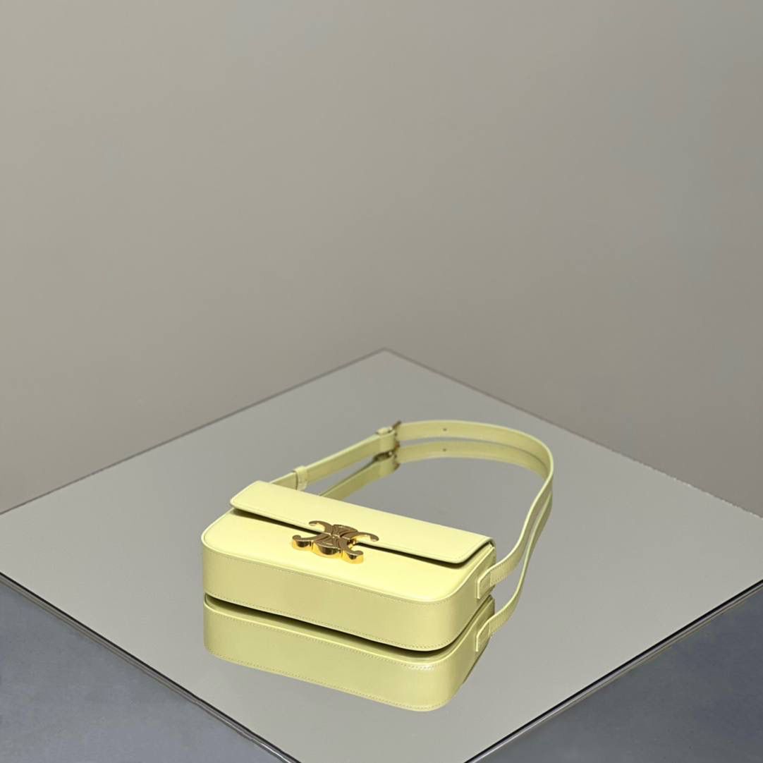 🔥大货实拍图 𝗖𝗘𝗟𝗜𝗡𝗘 ♥ 𝗧𝗥𝗜𝗢𝗠𝗣𝗛𝗘 𝗦𝗛𝗢𝗨𝗟𝗗𝗘𝗥 𝗕𝗔𝗚 型号：194143 尺寸：20*10*4cm