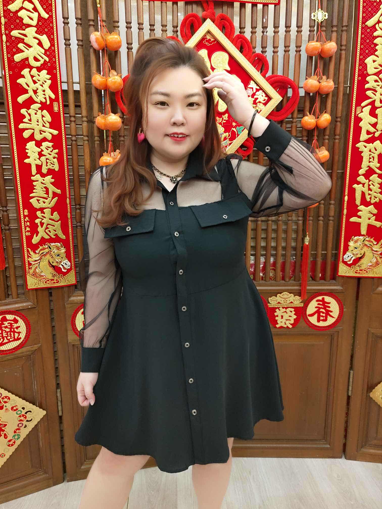 NFB08 TW#956 性感网纱长袖连衣裙