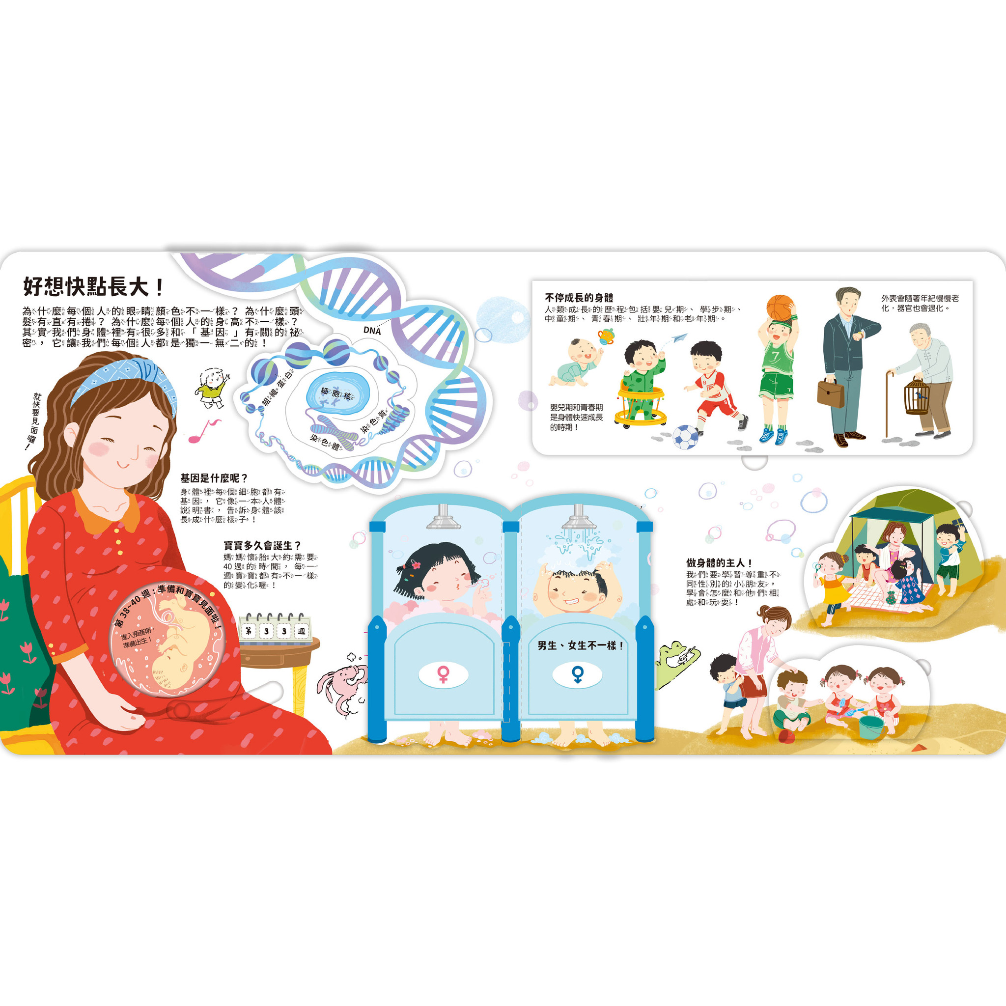 知識立體翻翻書 身體好重要！