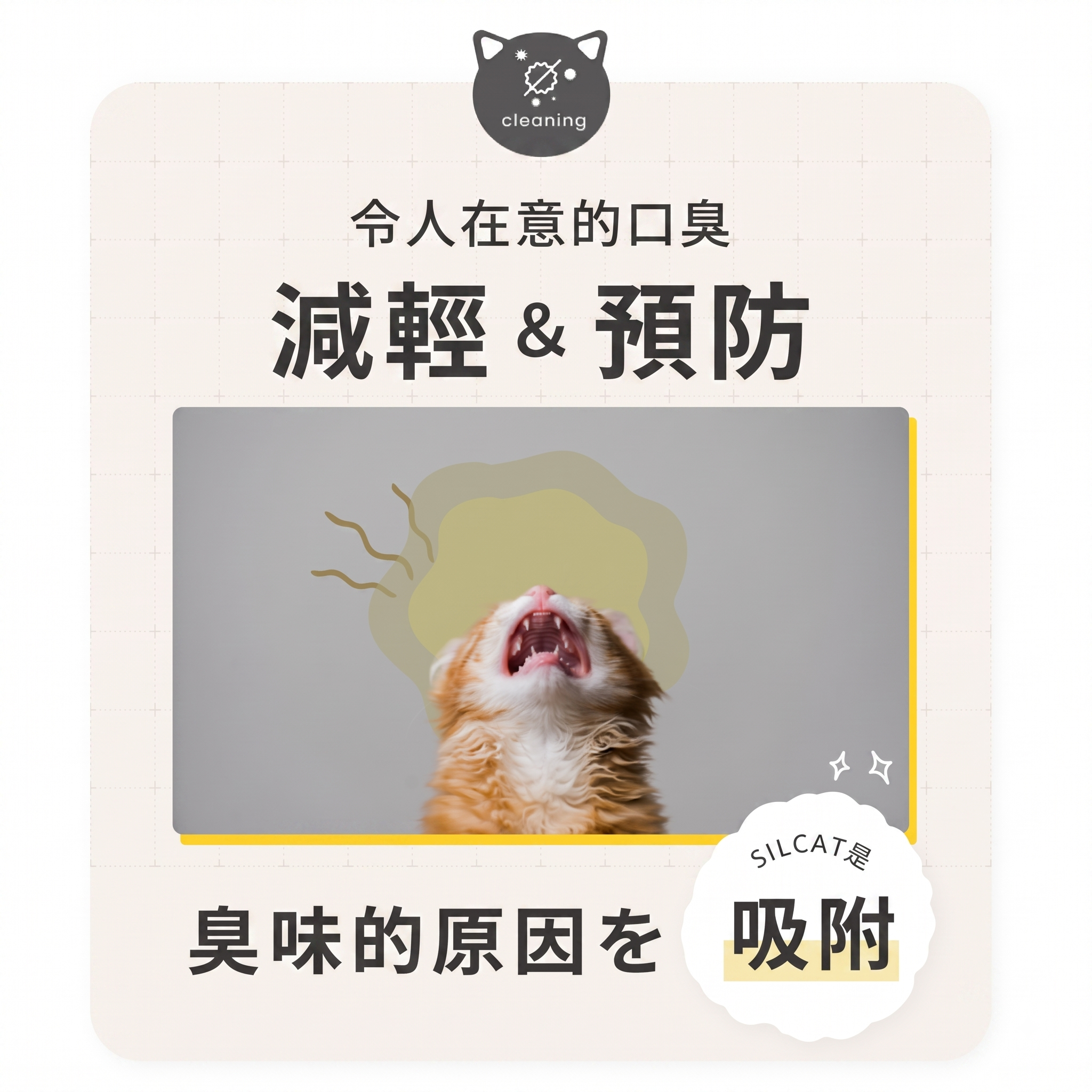 SILCAT🇯🇵 貓咪 專用 腎臟保健水溶劑 (7包 / 30包裝)
