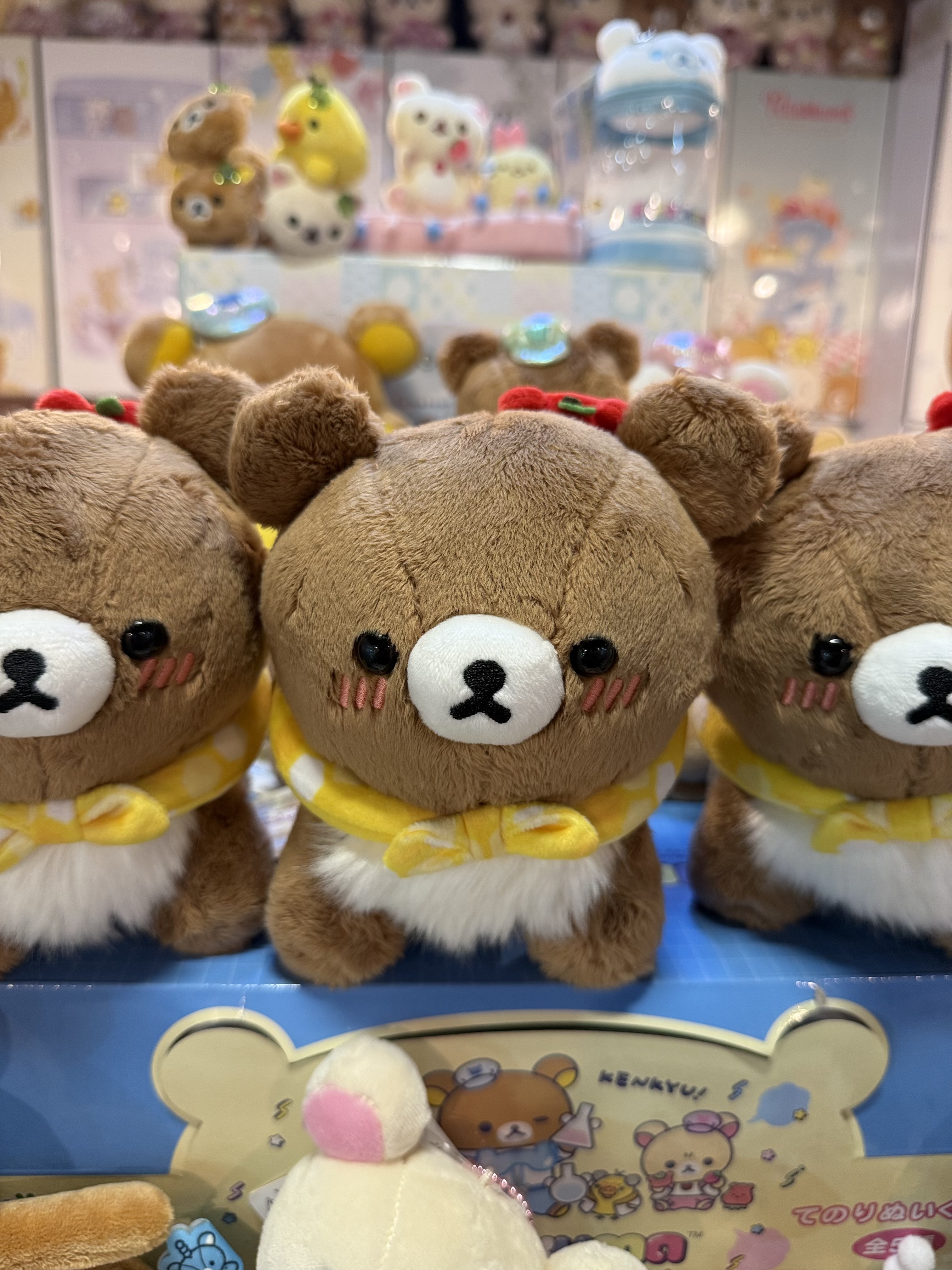 《現貨》全新日本小熊10週年紀念巡迴pop up店限定小熊探險隊系列爬爬公仔