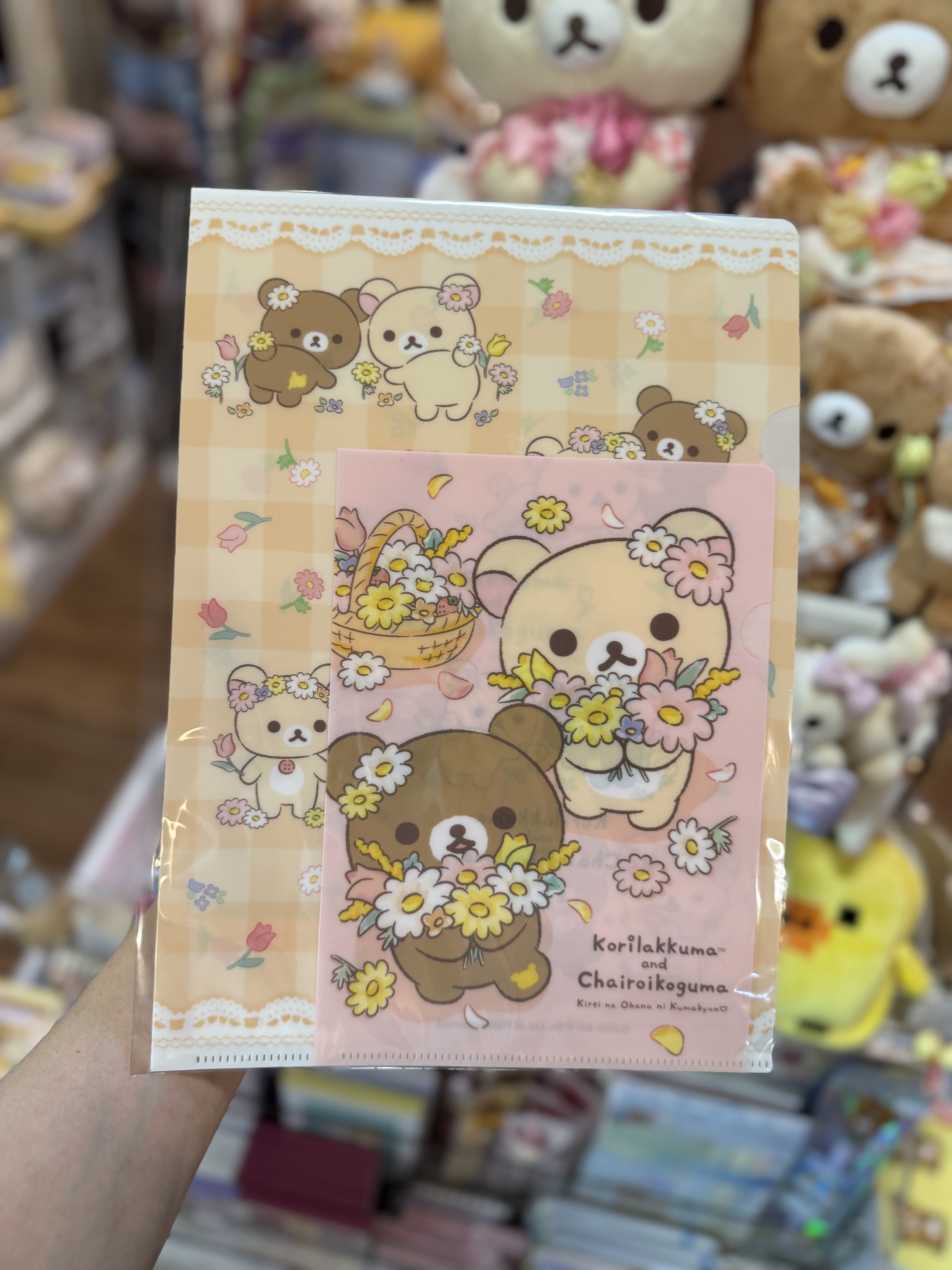 現貨》全新日本有樂町pop up店限定 花花造型A4+A5 