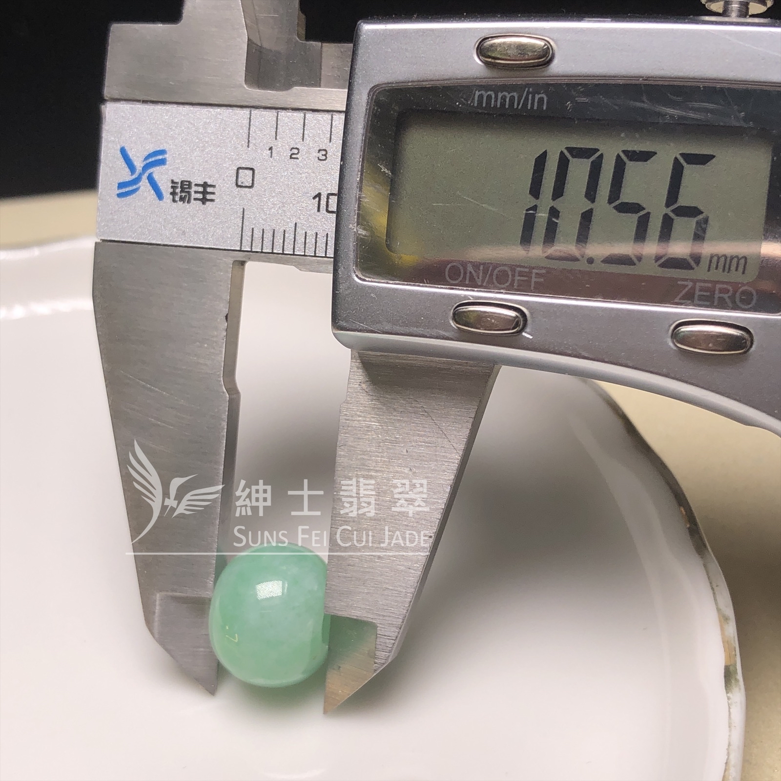 B08593 滿綠路路通