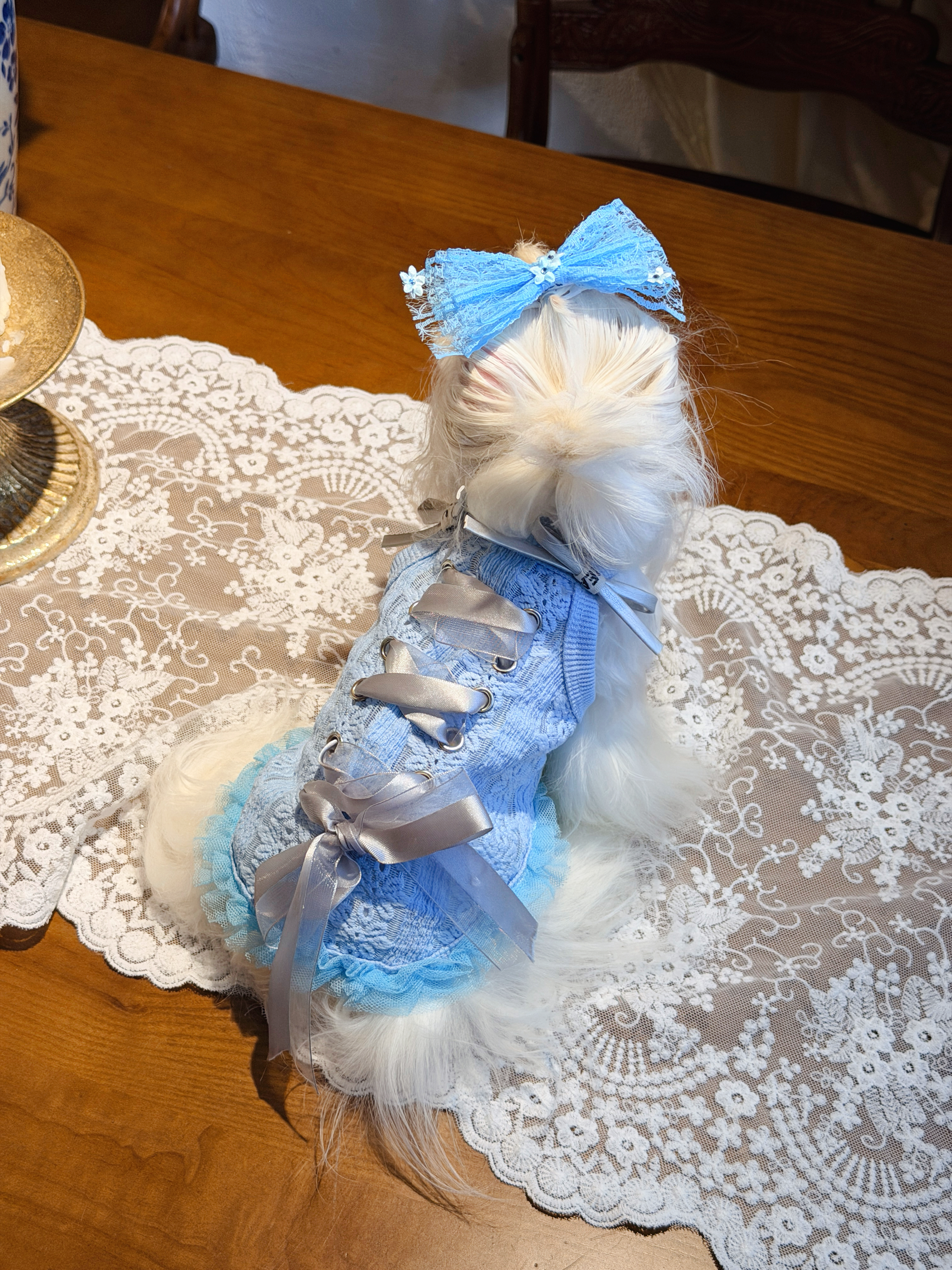 Ocean Ballet Dress