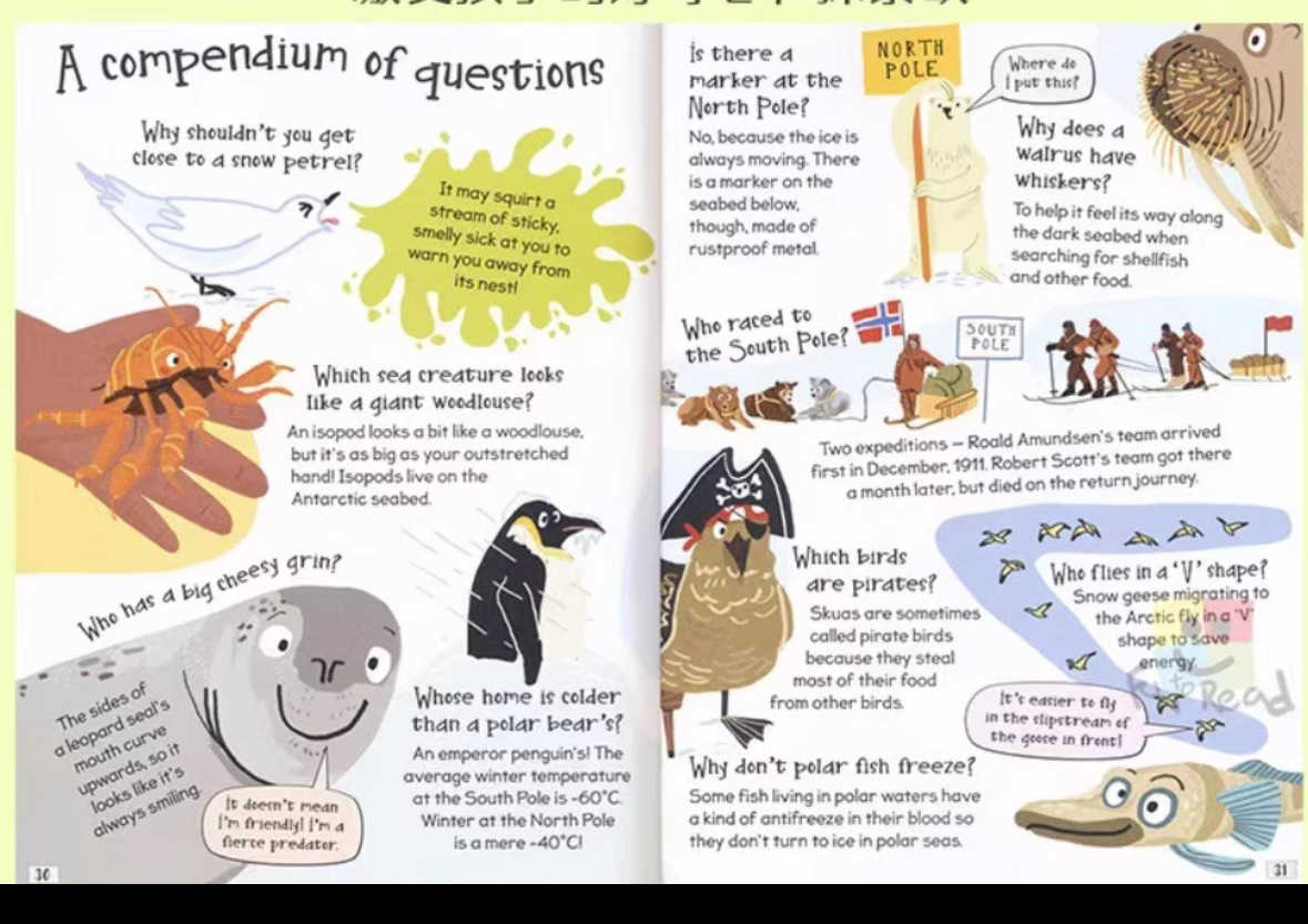 A Curious Collection of Questions and Answers 8 Books (適合5歲+) 