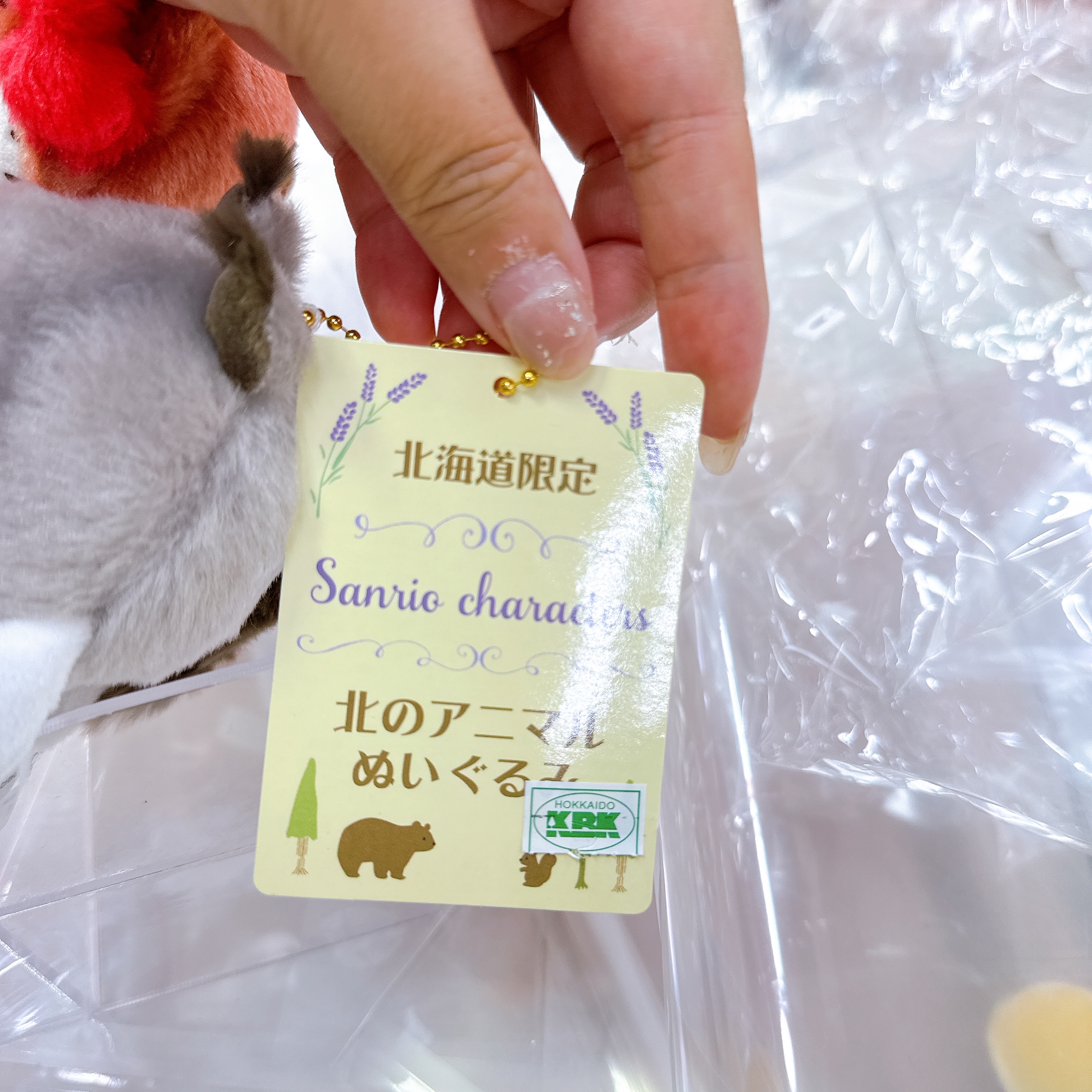 日本北海道直送北海道限定Kitty玉桂狗布甸狗公仔掛飾
