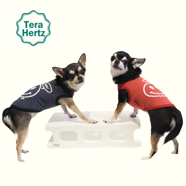 日本製🇯🇵 毛孩照護與保養犬服 團購優惠開跑