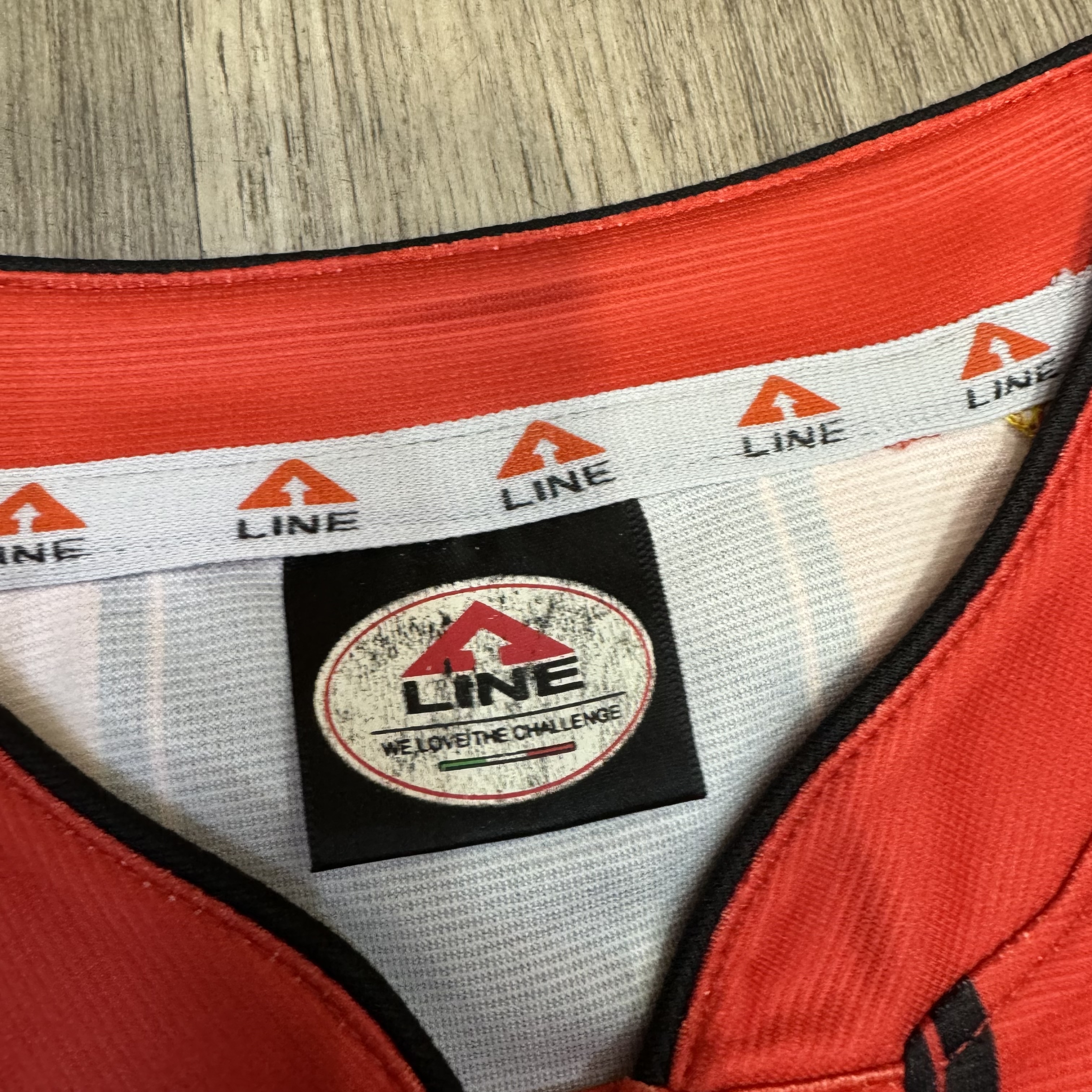 金澤FC Zweigen Kanazawa 2013 home shirt #10 