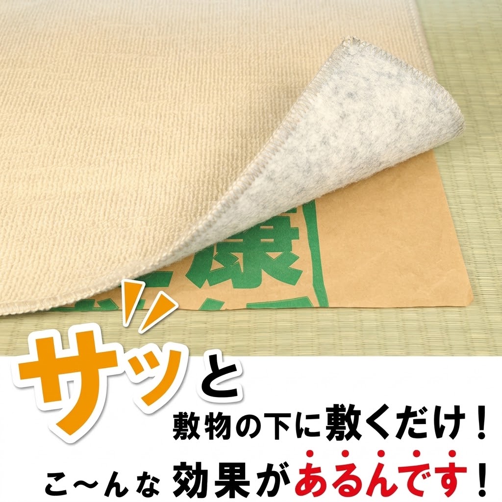 🔥🔥【日本製《大島屋》防蟎防塵蟎健康墊紙】