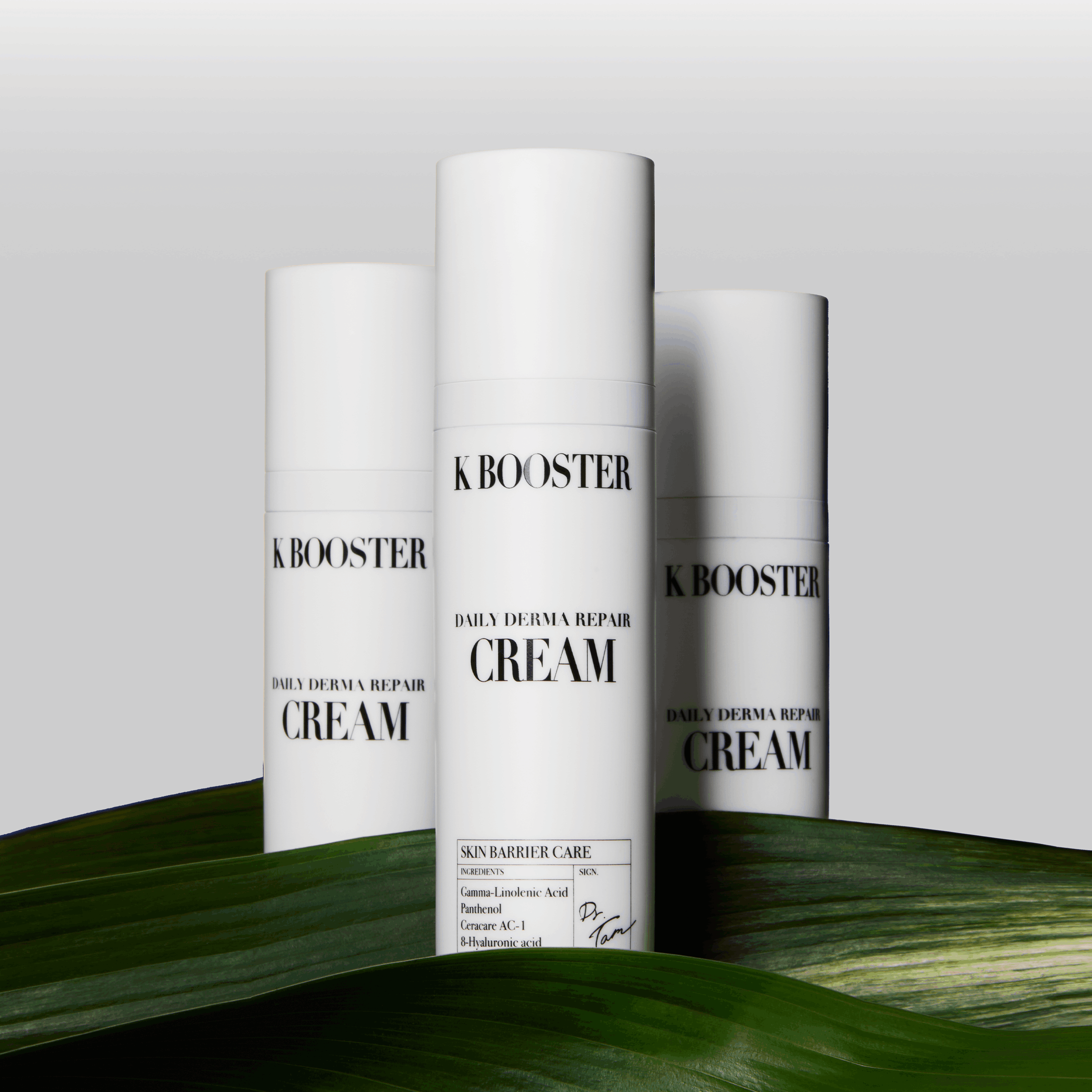 保濕修護套裝 Aqua Booster Repair Set