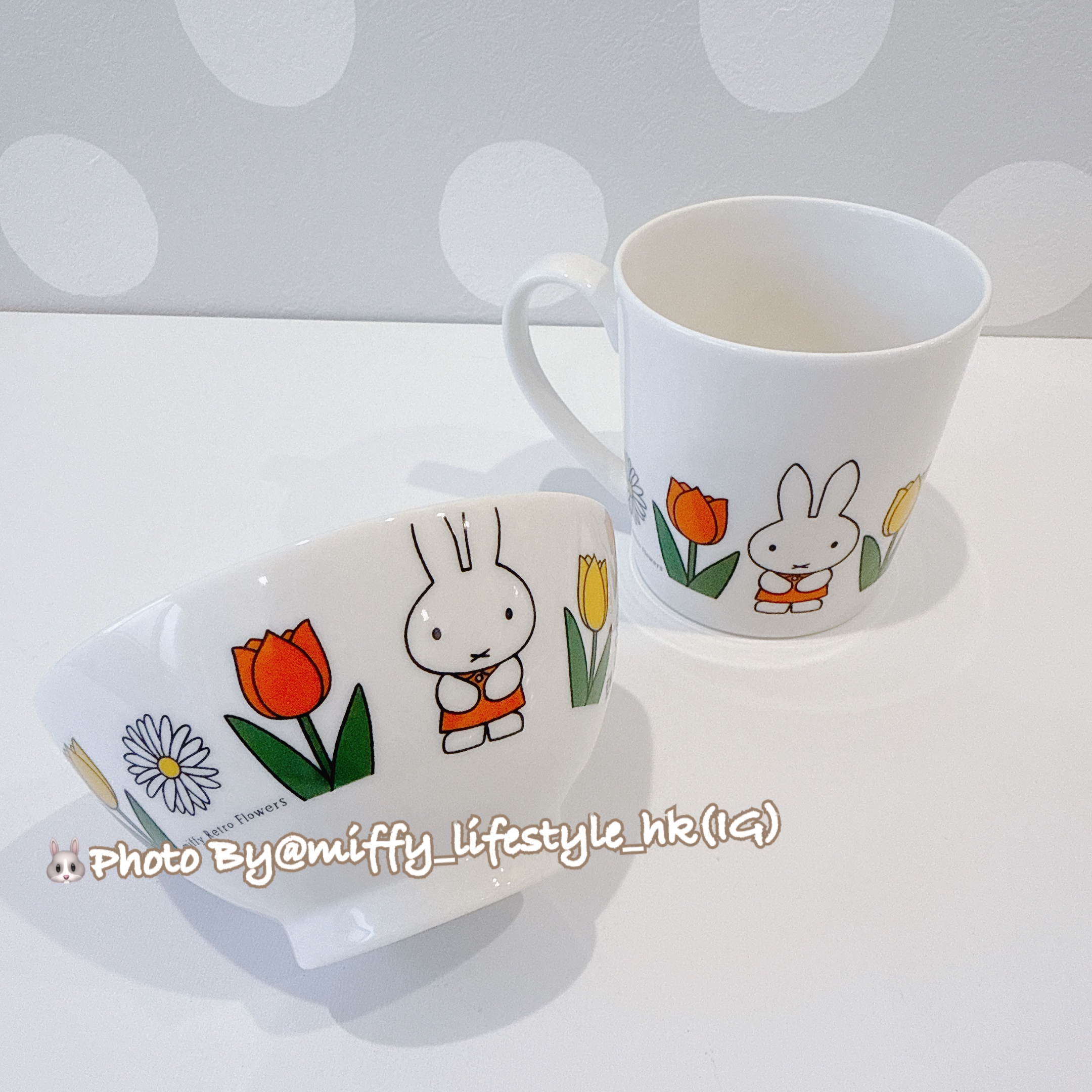 🐰只開一團 Pre Order  -miffy & Tulip 系列餐具 Made in Japan🇯🇵  ( 📦 大約3月底到貨, 若遇到缺貨或其它因素貨期會延遲 ）