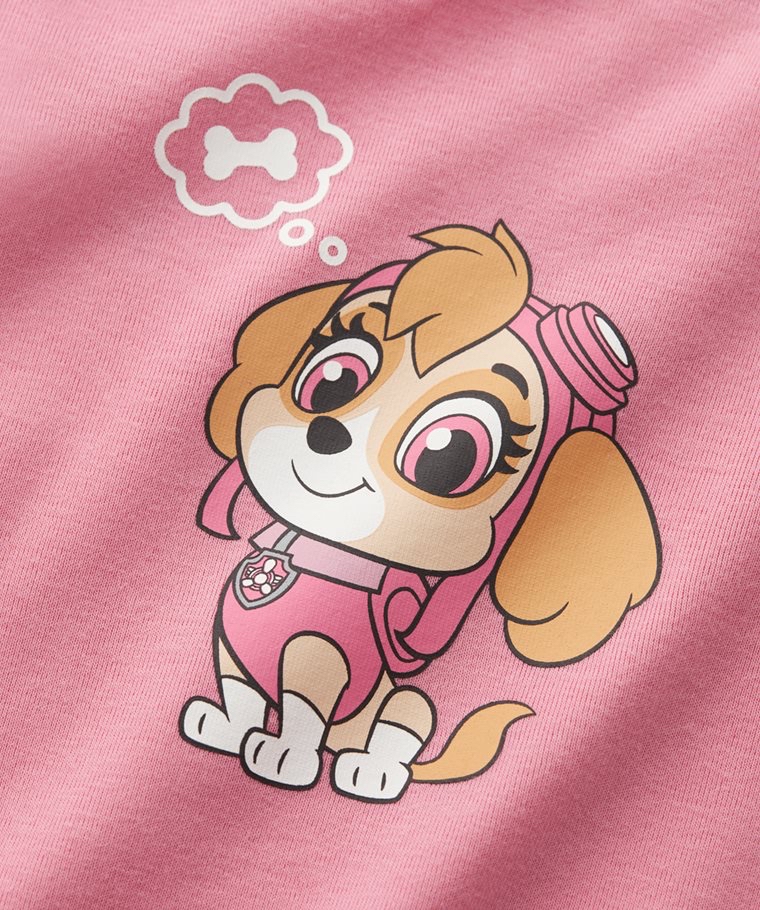💚預訂 台灣直送💚四色Paw Patrol汪汪隊立大功系列人物印花純棉短袖包屁衣