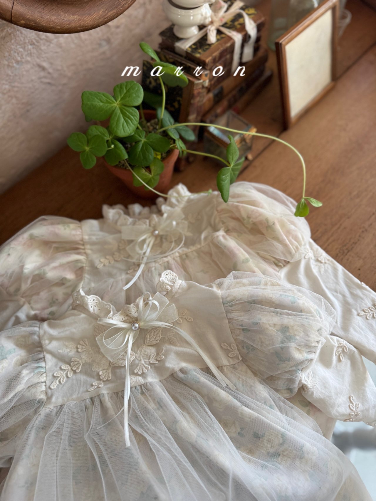 🇰🇷Marron dress