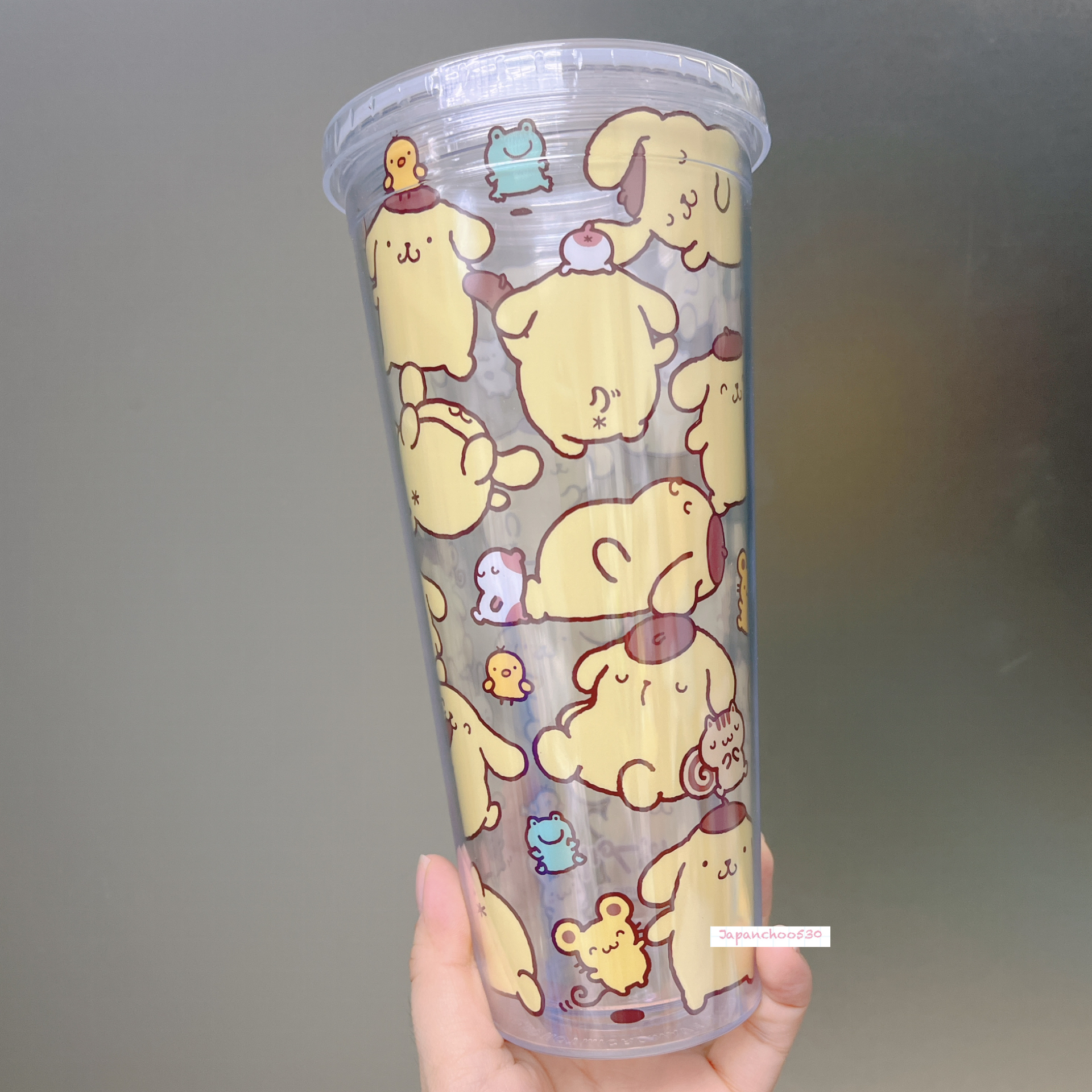 日本現貨/預訂📍日本Sanrio House可愛圖案冷水杯