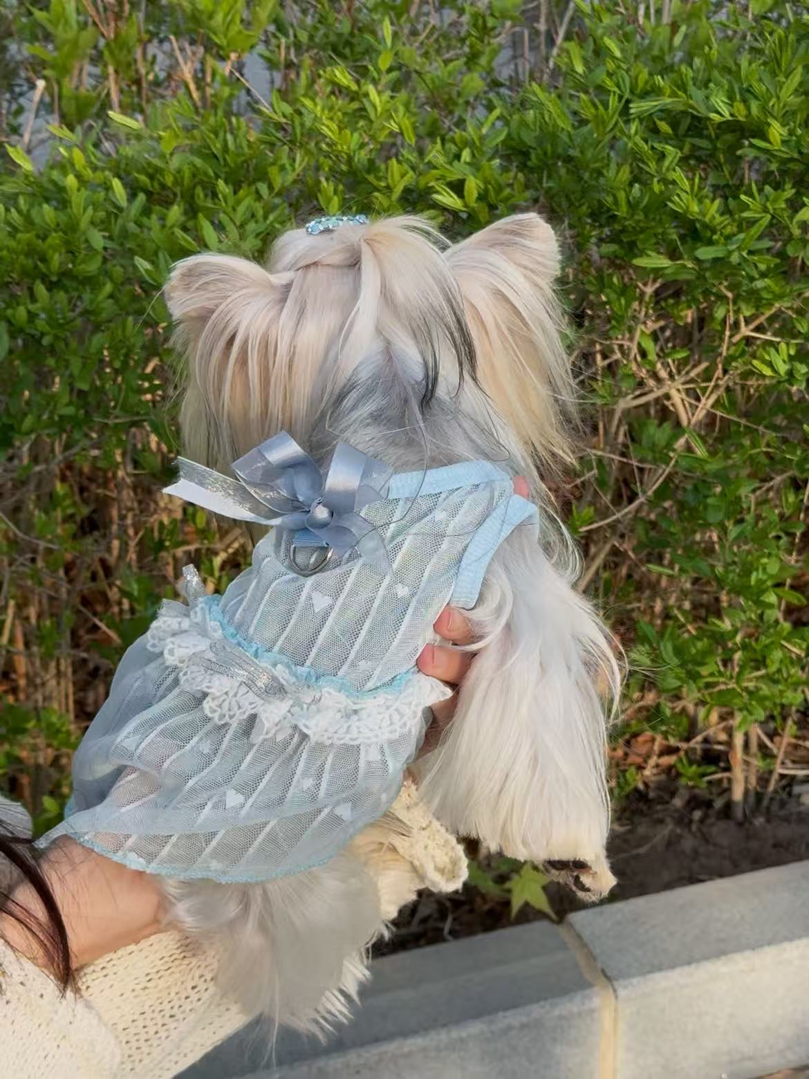 Ocean Sorbet Dress