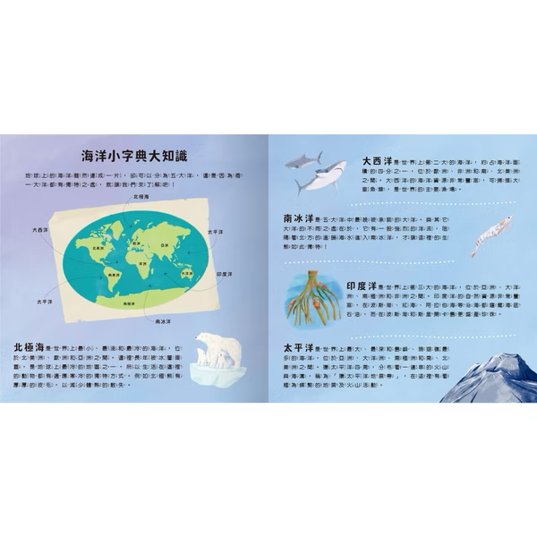 登登登！透光Show 海洋生物來囉！