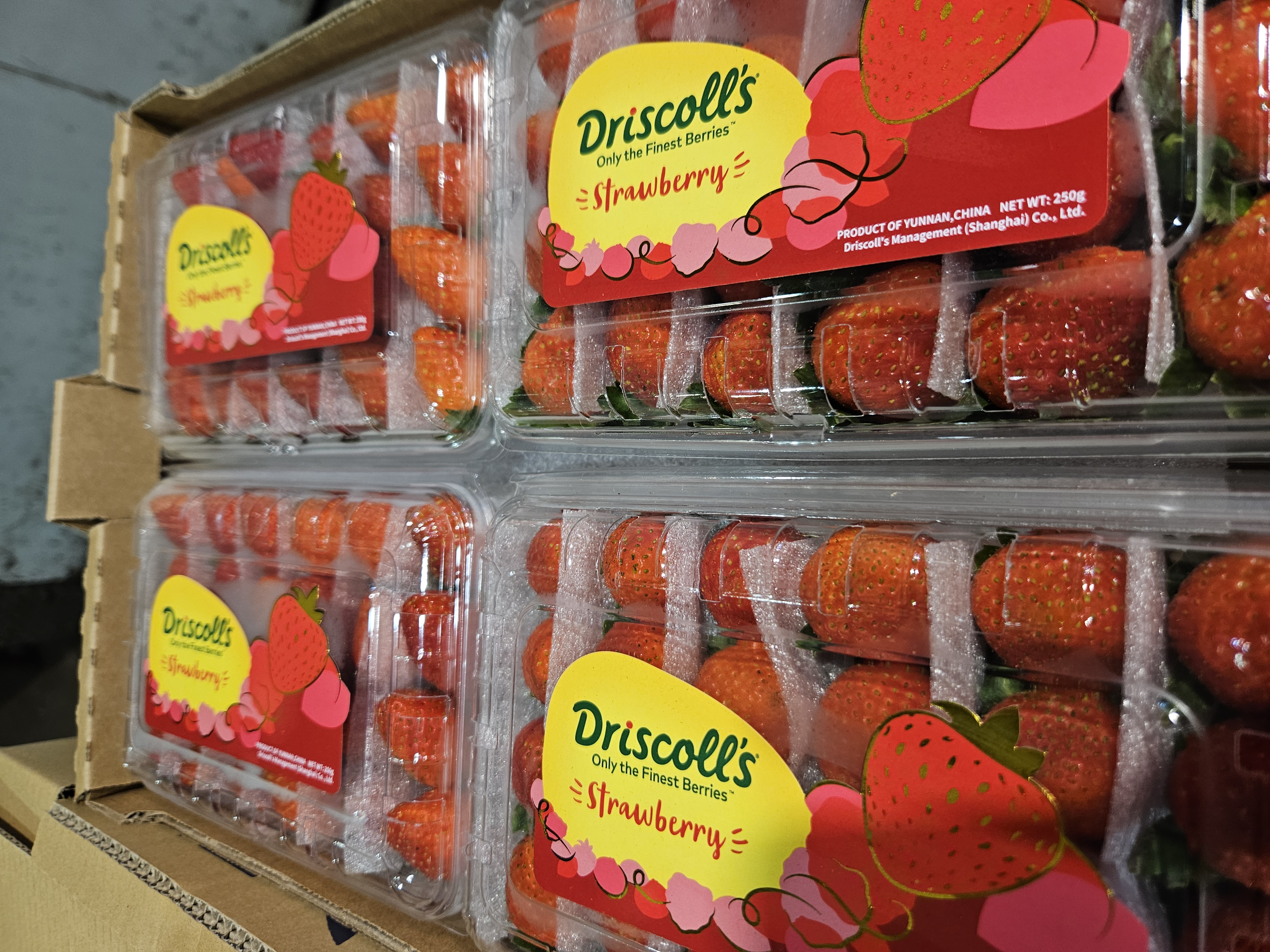 韓國士多啤梨（250g)每盒