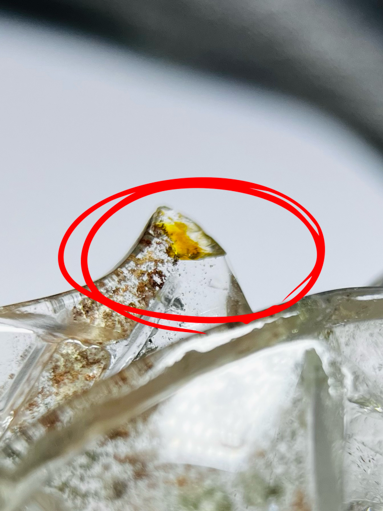 ⛓️‍💥微瑕疵⛓️‍💥29DE173 擺件｜烏龜🐢｜白水晶綠幽靈紅幽靈共生