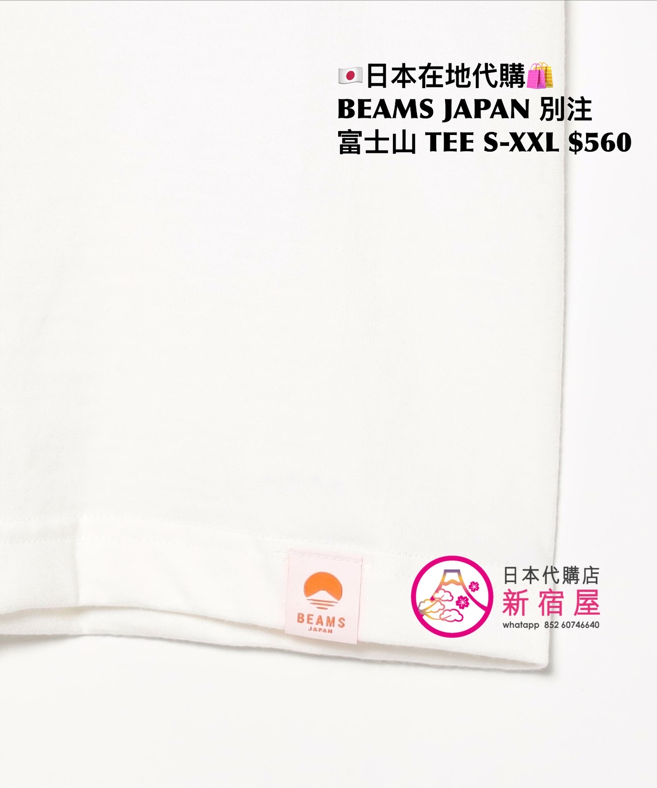 BEAMS JAPAN 別注 富士山 T-SHIRT