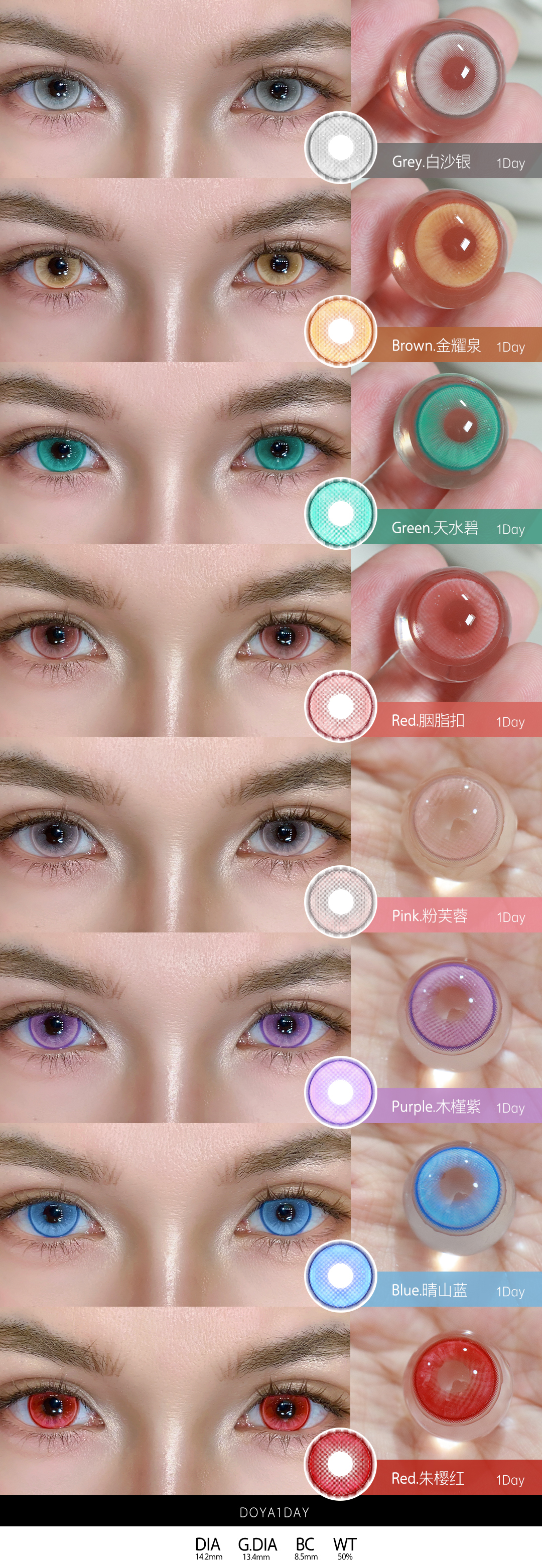 Doya 日拋 蘭亭序系列