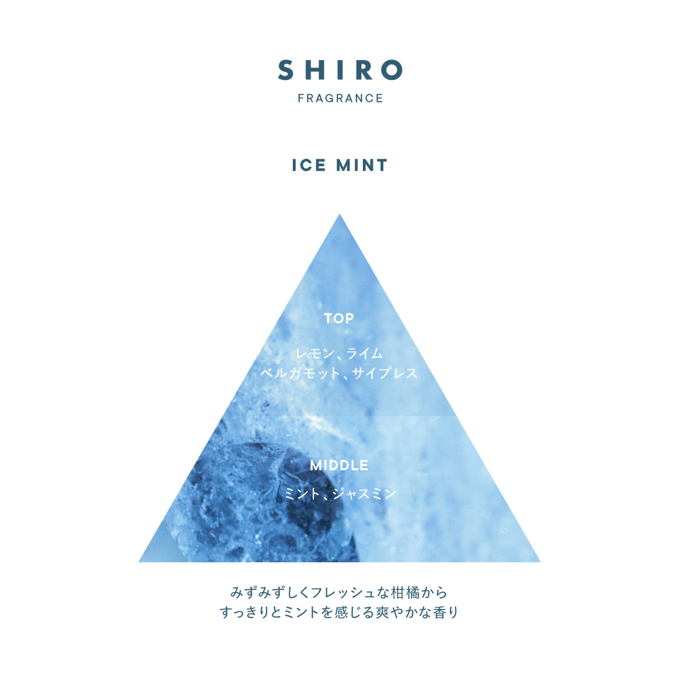 【限量販售】【系列新品】【✨️日本🇯🇵 SHIRO ICE MINT Body Lotion EX 超清涼•冰爽薄荷身體乳✨️】 50ml   