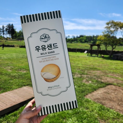 濟州島必買｜韓國 濟州島牧場 Milk Sand 牛乳夾心餅乾 234g / 盒