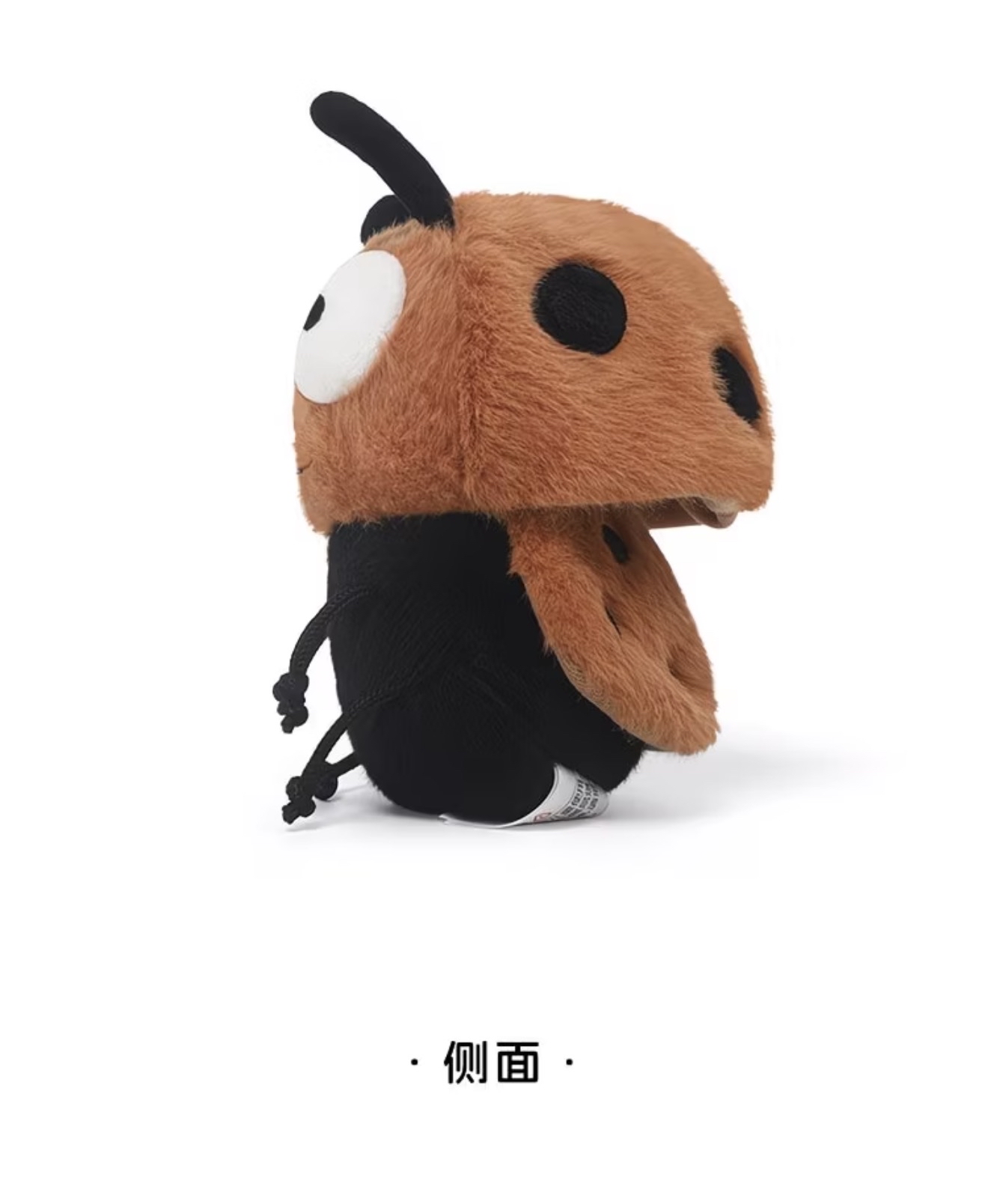 Ladybug 