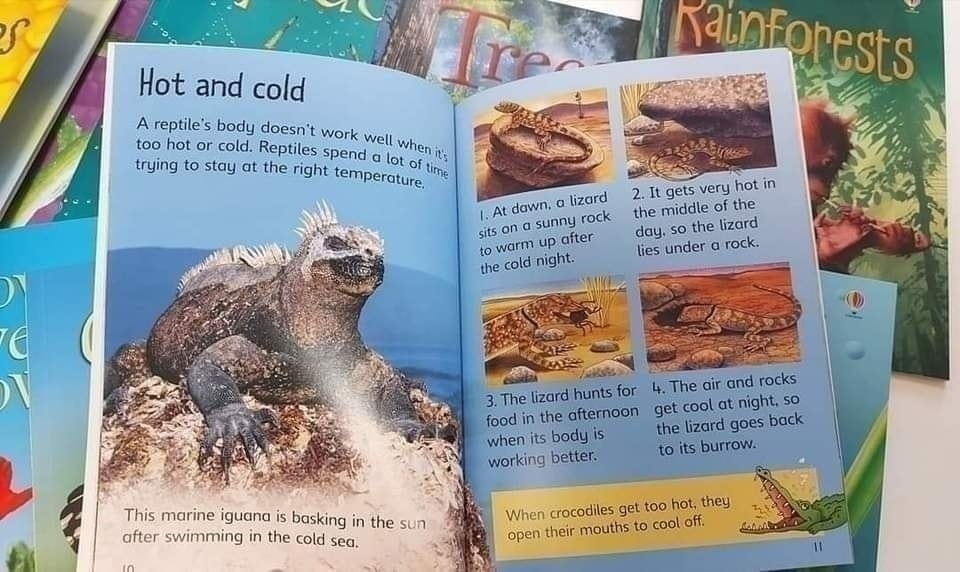 Usborne Beginners Nature 初探自然 兒童科普讀物｜10 books｜英文科普知識繪本