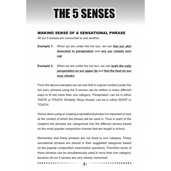 Phrases for Sensational Writing 2