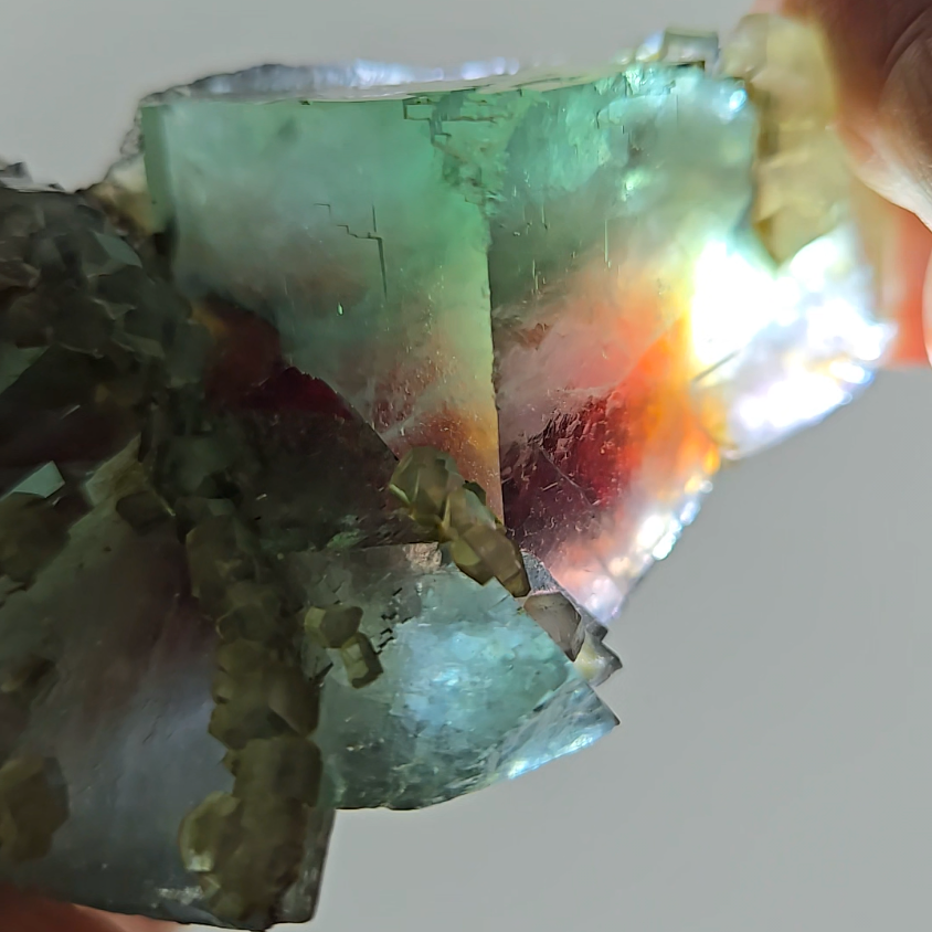 Red phantom fluorite with columnar calcite - FL227
