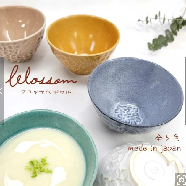 日本美濃焼浮雕花卉圖案植物陶碗