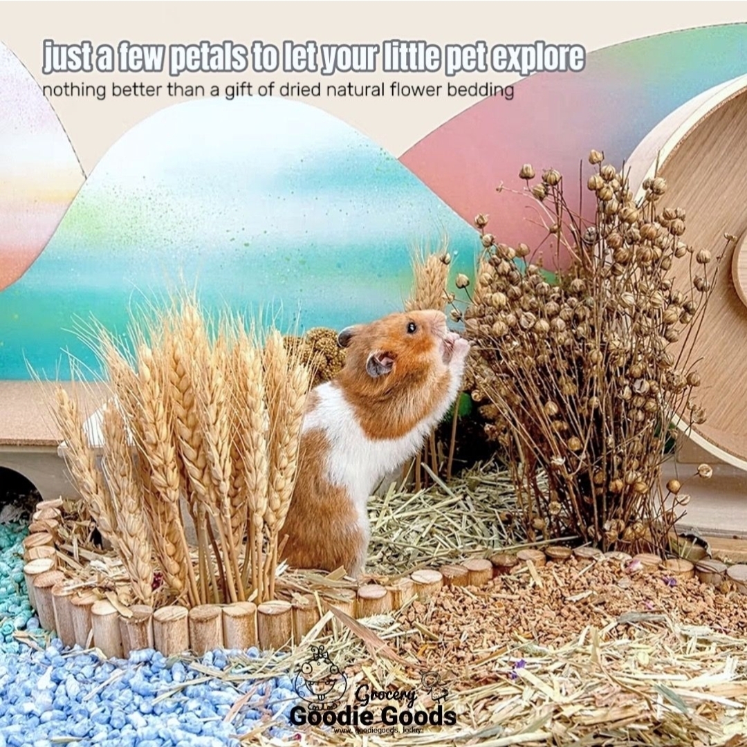 天然柔軟倉鼠寢具伴侶小動物棲息地裝飾適合敘利亞矮倉鼠沙鼠小鼠八齒鼠兔子或其他小型寵物