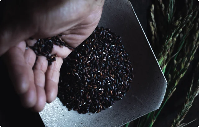 【✨️日本🇯🇵 FAS The Black Essence 黑米精華水✨️】