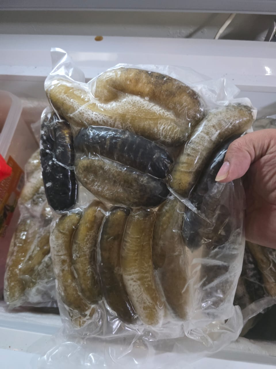 恒发‖ 冷藏马达加斯加AB海参-1kg Frozen Cleaned Madagascar AB Sea Cucumber