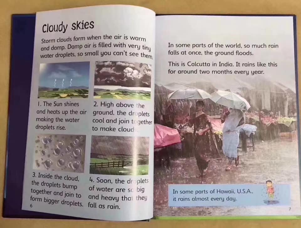 Usborne Beginners Science 初探科學 兒童科普讀物｜10 books｜英文科普知識繪本 STEM