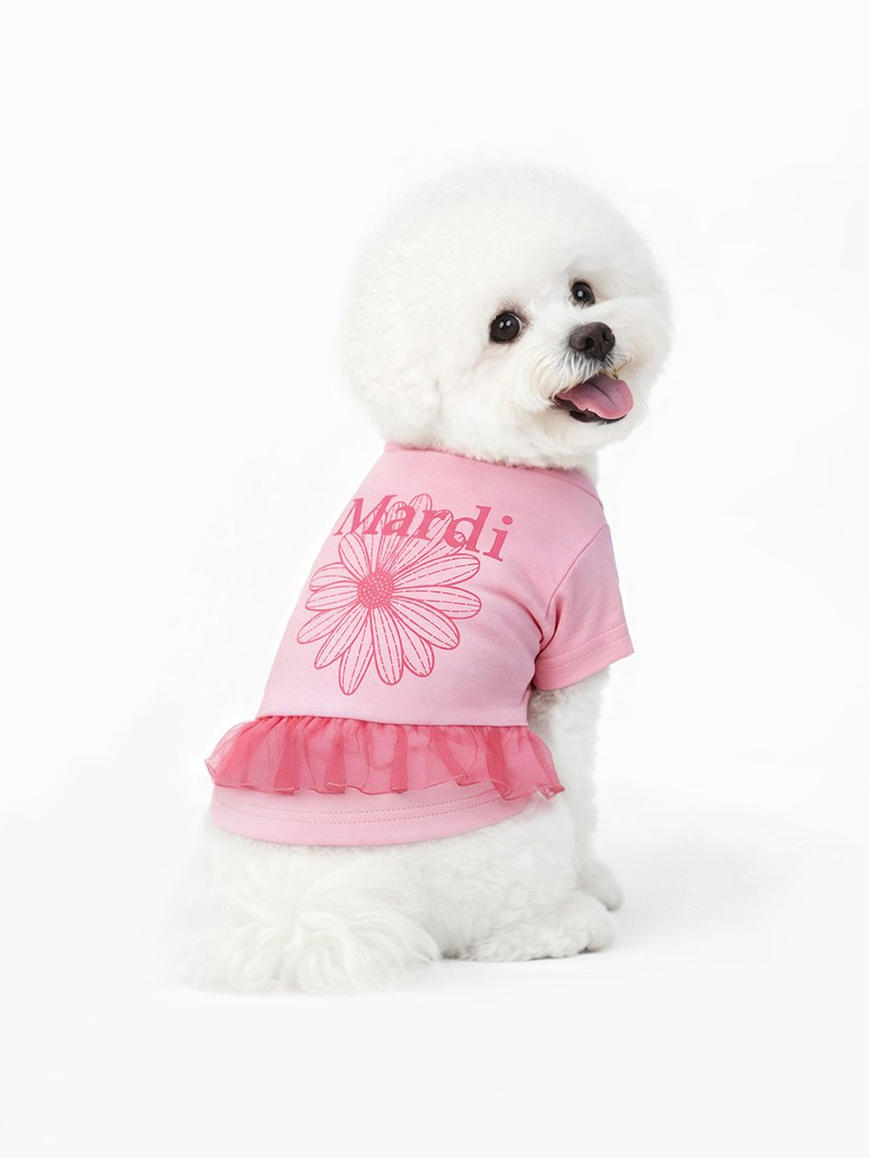 🇰🇷Mardi Mercredi🇰🇷🆕2026年最最新款🐶狗仔T恤