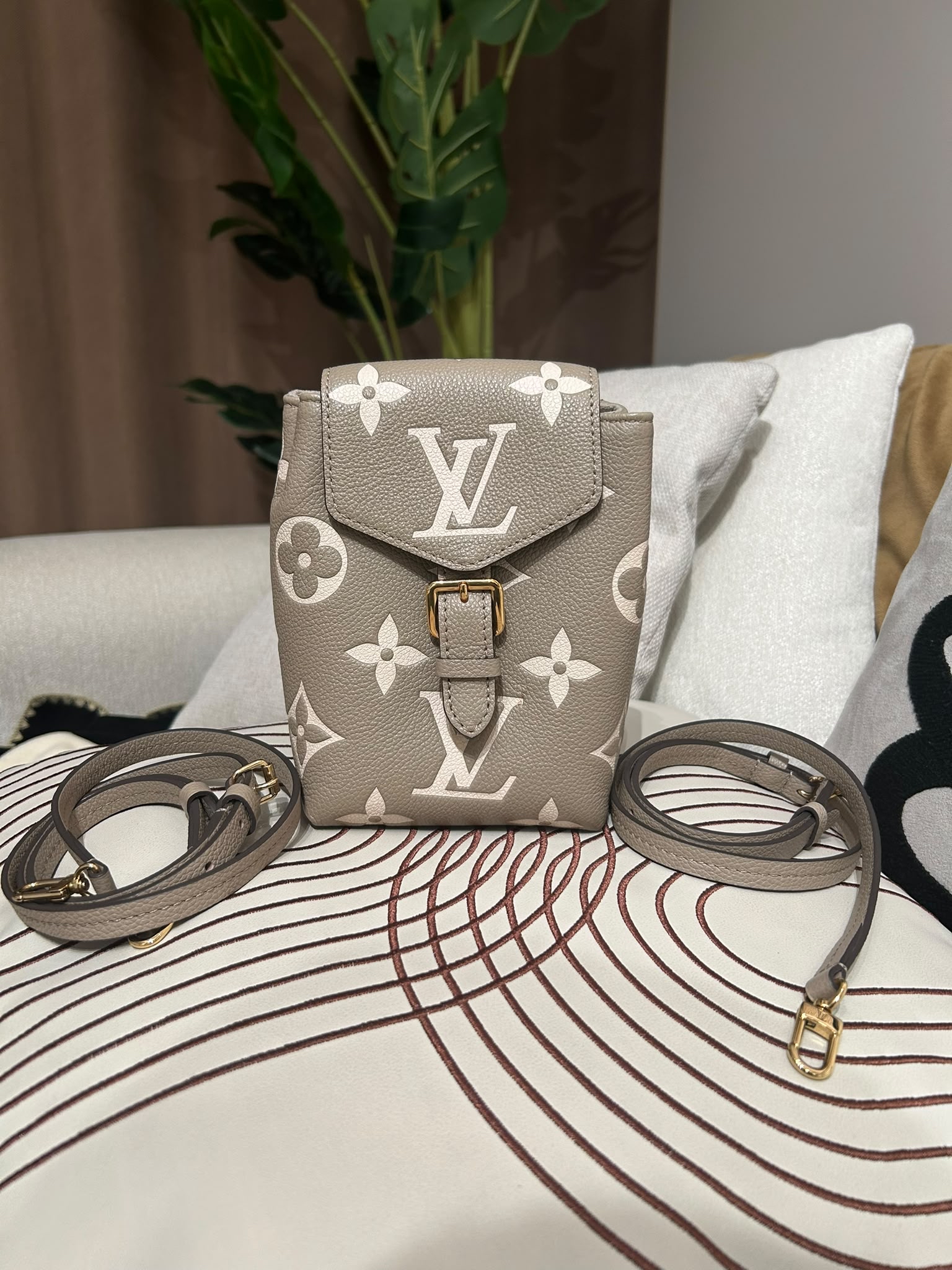 Lv tiny backpack 100%Authentic ,98%new✅dust bag ✅strap  