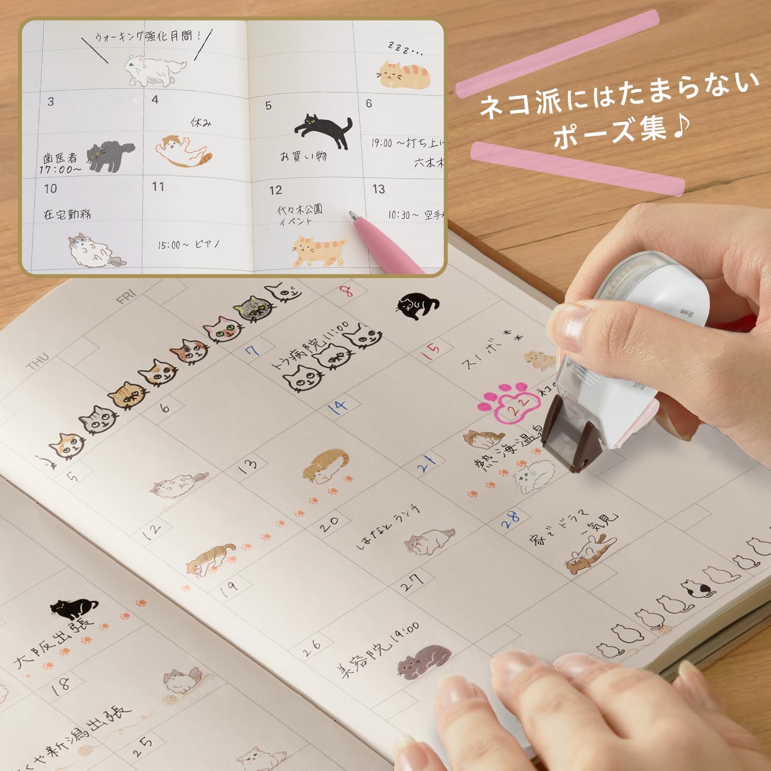 現貨｜PLUS Neco Rush 貓貓 日版 手帳裝飾膠帶 Decoration Tape (小步舞曲貓 91-559)