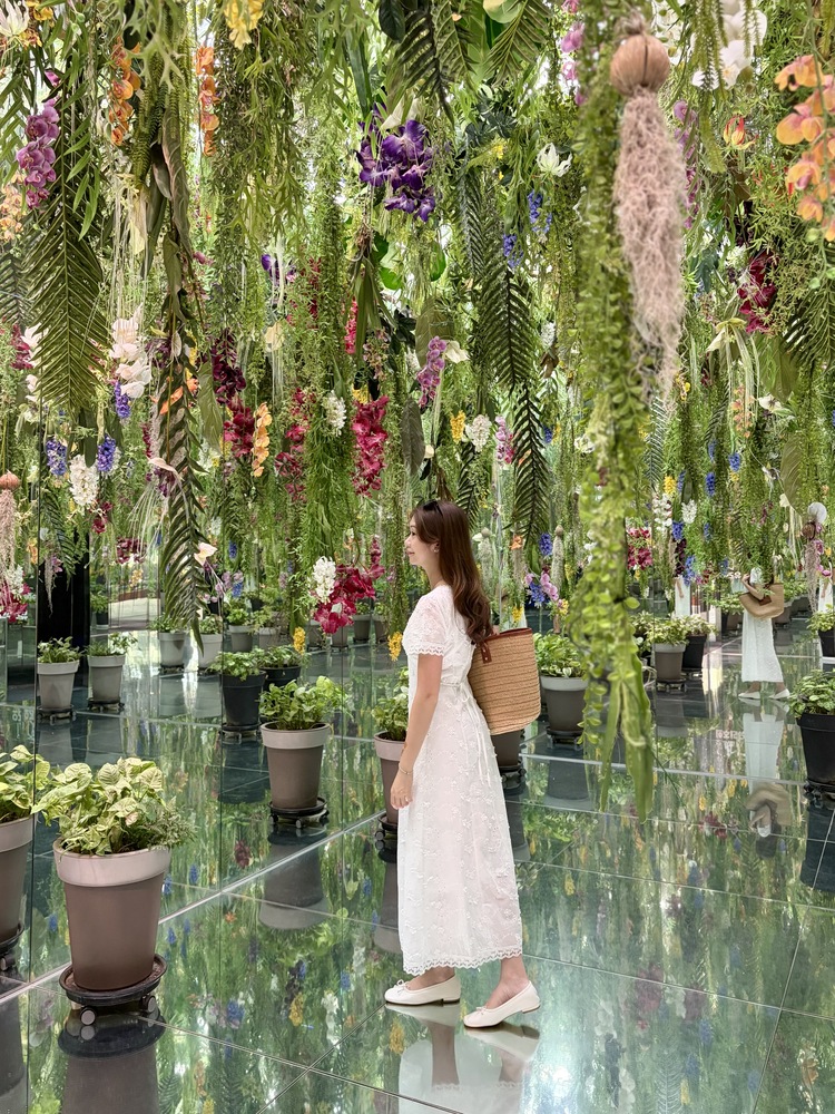 Aurelie Embroidered Dress (White)