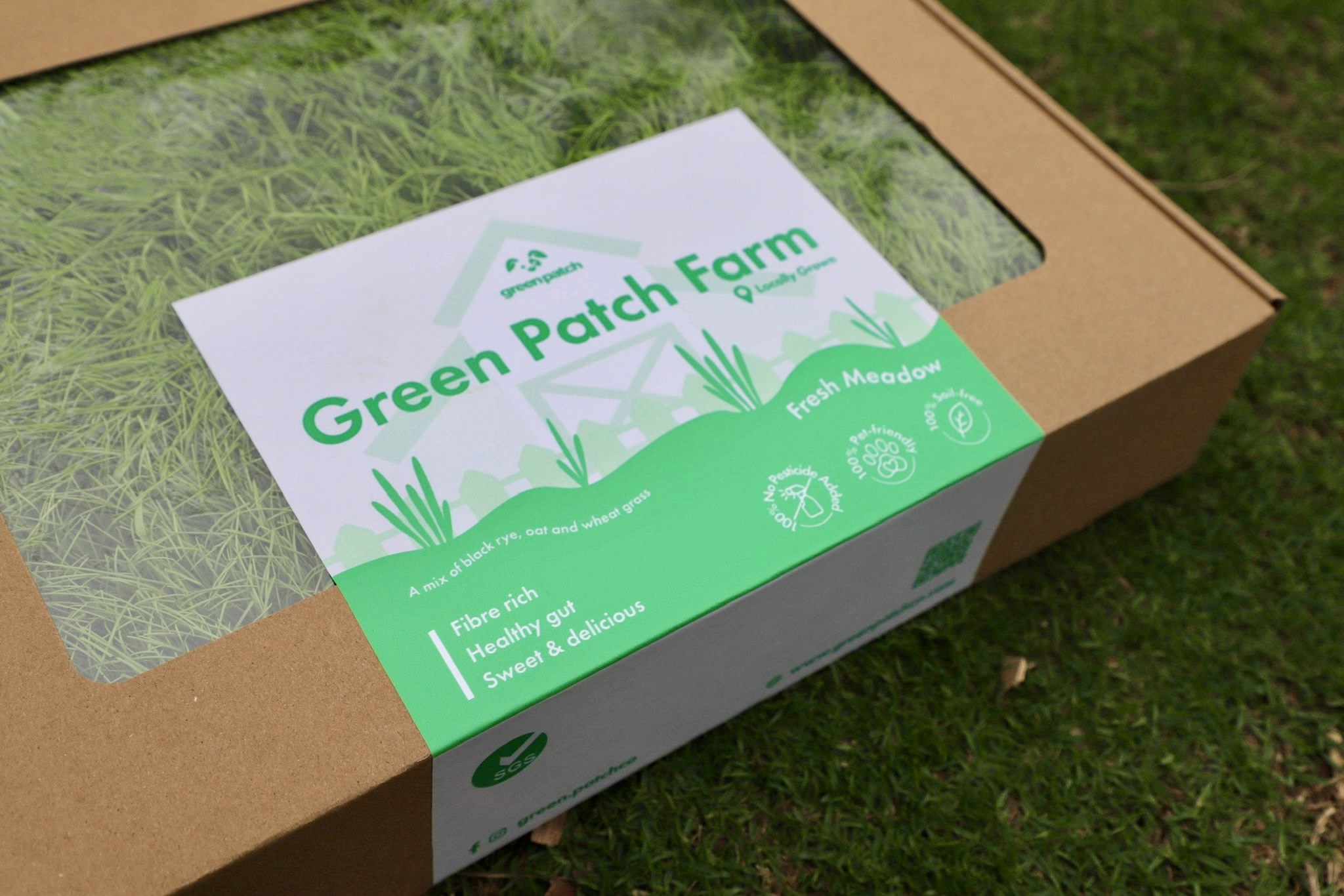 香港 Green Patch Farm Fresh Meadow 小寵物黑麥草X燕麥草零食草皮（約30x40cm）