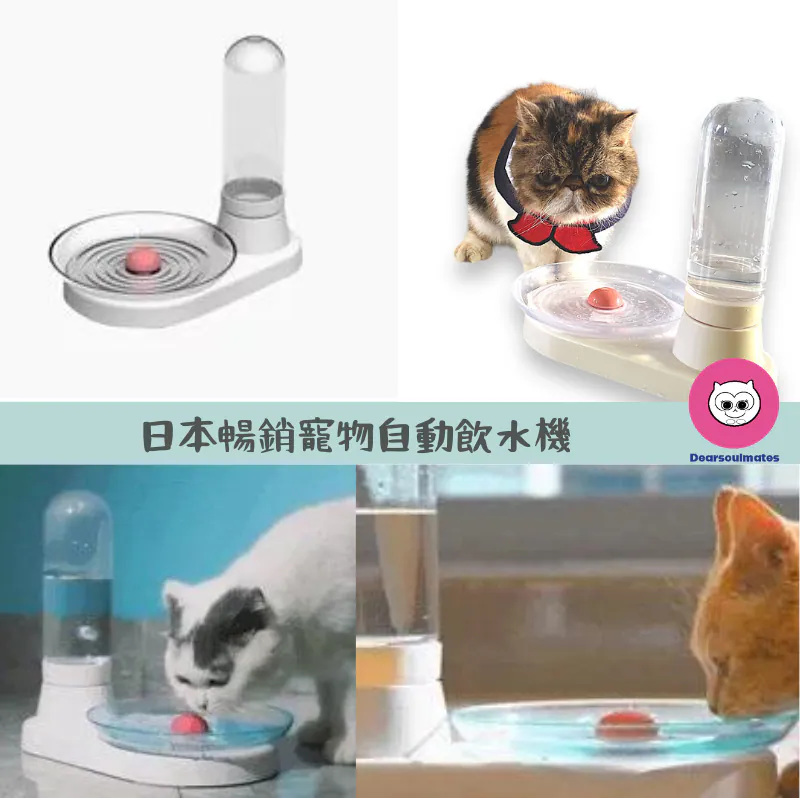 日本暢銷寵物自動飲水機