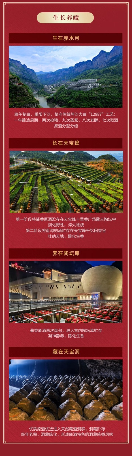 郎酒 - 紅花郎.十五 甲辰龍年 限量版 (醬香型白酒) C9LW5000770WL