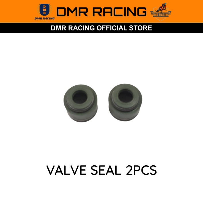 SHR-1/3/BNK-1/3/HJ250/KEWS250/N911-F/BSE MOJO/KAYO T4/CB250-G/CB250-F Standard Original Valve In & Ex (Motocross China)