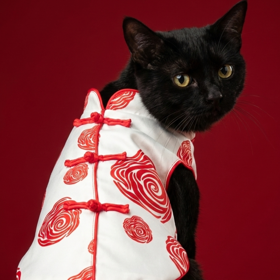 S559Y 玫瑰唐裝棉褸- 米黃色 Rose Dress Chinese Style Dog Dress-beige