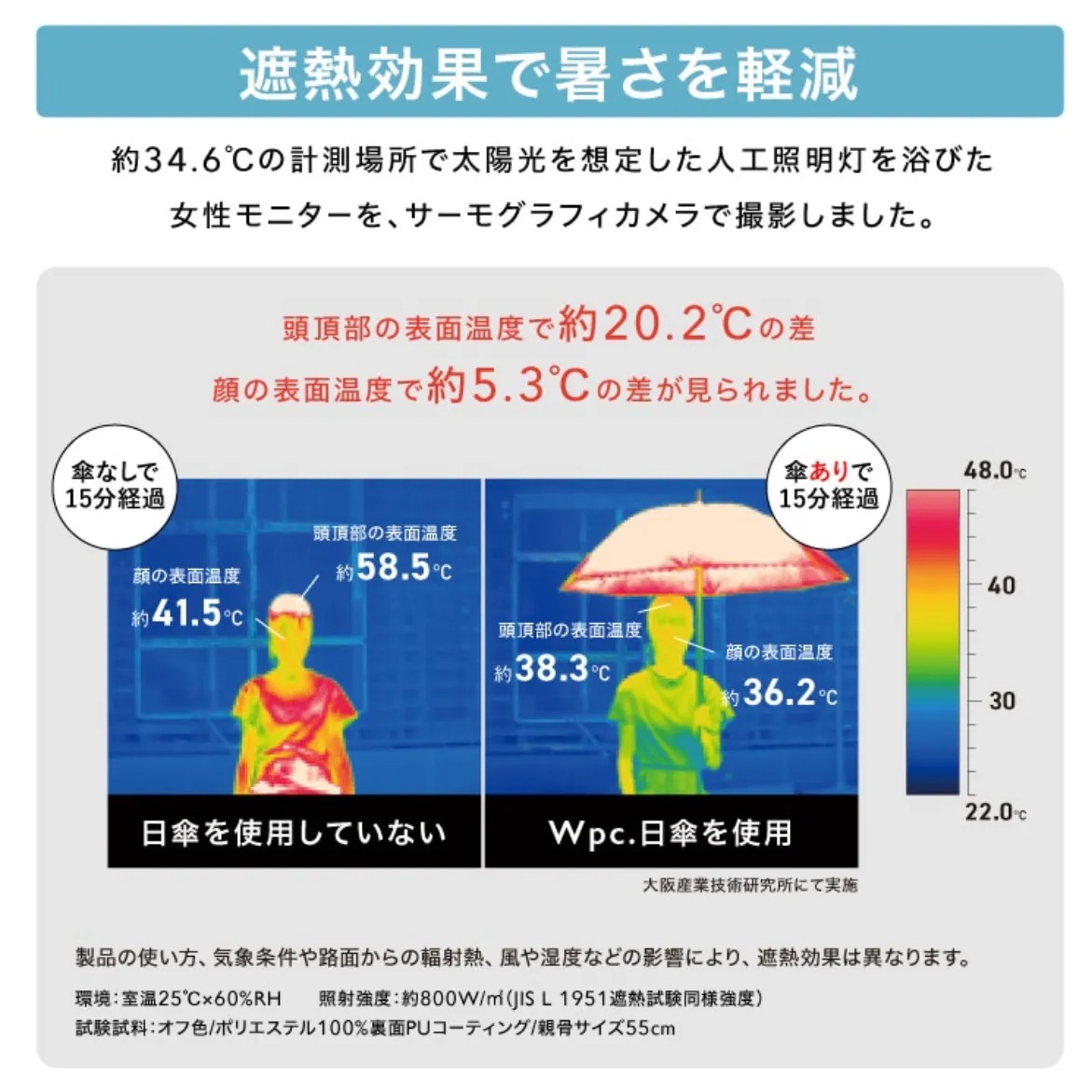 WPC x Sanrio 水彩圖案 防UV晴雨兼用傘 / 縮骨遮