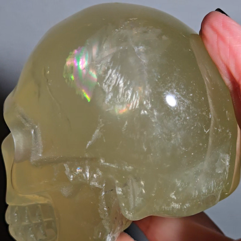 Citrine skull with rainbows and multiple star flash asterism - C59